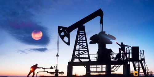 歐佩克維持產(chǎn)量不變疊加美聯(lián)儲(chǔ)風(fēng)險(xiǎn)預(yù)警，國際石油市場(chǎng)面臨復(fù)雜考驗(yàn)